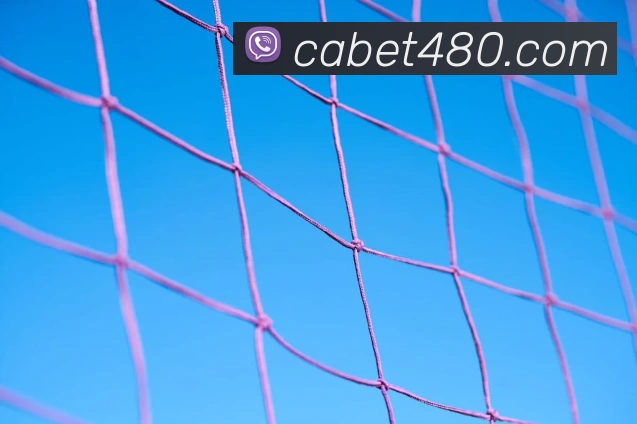 ca亚洲城APP 体育赛事宣传图